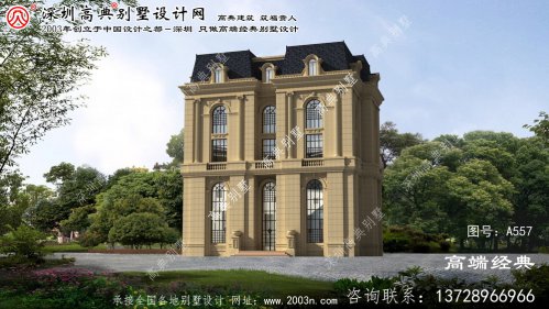 庆元县外观精妙绝伦的别墅设计图纸